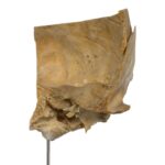 Real Human Partial Skull on Stand – 202 g