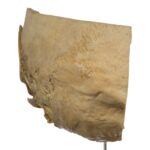 Real Human Partial Skull on Stand – 202 g