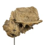 Real Human Articulated Temporal Bone on Stand – 60 g