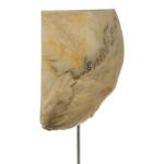 Real Human Partial Skull on Stand – 204 g