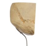 Real Human Partial Skull on Stand – 222 g