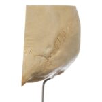 Real Human Partial Skull on Stand – 220 g