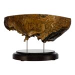Real Human Partial Skull on Stand – 246 g