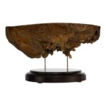 Real Human Partial Skull on Stand – 246 g