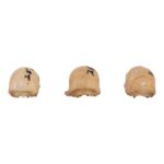 Real Seba’s Short-tailed Bat Skull – Single (Multiple Variants)