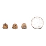 Real Seba’s Short-tailed Bat Skull – Single (Multiple Variants)