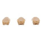 Real Meadow Vole Skull – Single (Multiple Types)