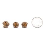 Real Meadow Vole Skull – Single (Multiple Types)