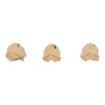 Real Seba’s Short-tailed Bat Skull – Single (Multiple Variants)
