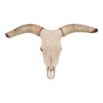 Real Longhorn Skull – 158.0273 oz