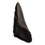 Real Megalodon Tooth – Half – 5.15 oz