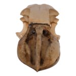 Replica Boat-billed Heron Skull