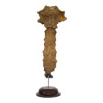 Real Human Sternum on Stand