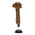 Real Human Sternum on Stand