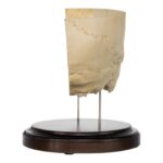 Real Human Partial Skull on Stand – 282 g