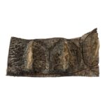 Real Nile Crocodile Hide