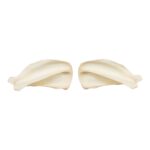 Real Domestic Dog Scapula Set