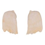 Replica Hubb’s Beaked Whale Teeth – Pair