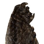 Real Nile Crocodile Leg Hide – 344 g