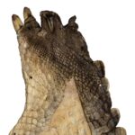 Real Nile Crocodile Leg Hide – 514 g
