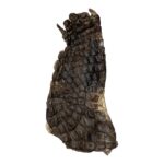 Real Nile Crocodile Leg Hide – 326 g