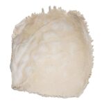 Real Human Parietal Bone