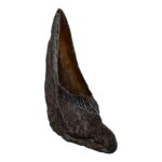 Real Megalodon Tooth – Half – 1.6226 oz