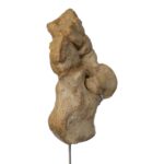 Real Human Tarsal Bones on Stand