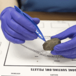 Owl Pellet Kit
