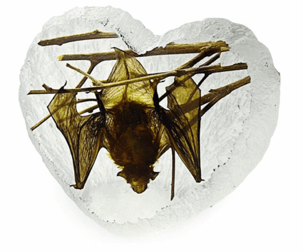 Real Acrylic Hanging Bat Paperweight – Heart