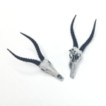 Blesbuck Skull Replica – 1:12 Scale (Set of 2)