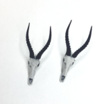 Blesbuck Skull Replica – 1:12 Scale (Set of 2)