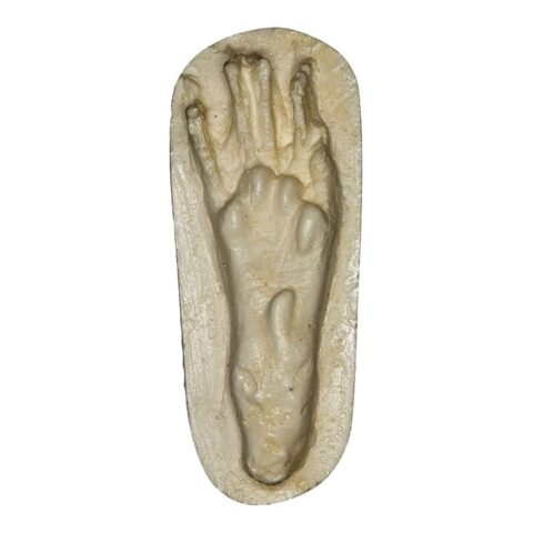 Replica Tree Squirrel Negative Footprint
