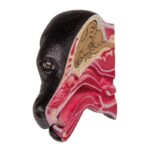 Replica Canine Head – Median Section