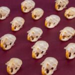Real Vole Skull
