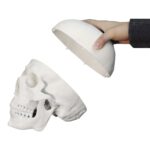 Replica Human Skull – Economy
