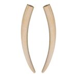 Replica Walrus Tusks – Pair