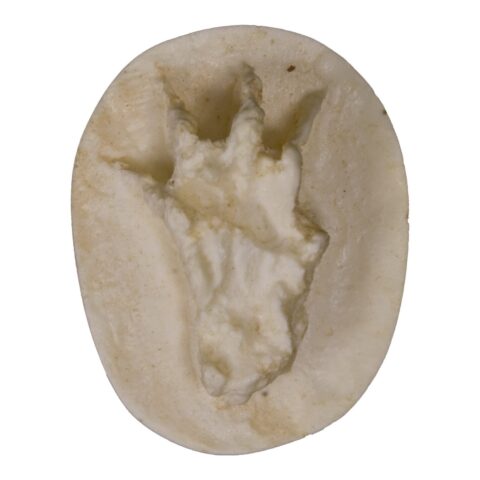 Replica Weasel Negative Footprint
