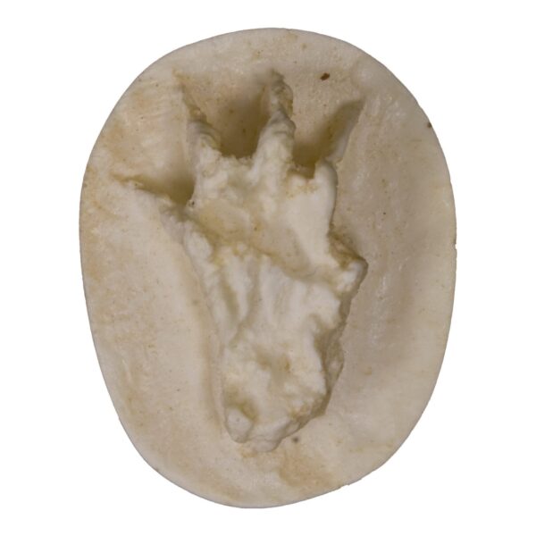 Replica Weasel Negative Footprint