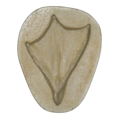 Replica Wood Duck Negative Footprint