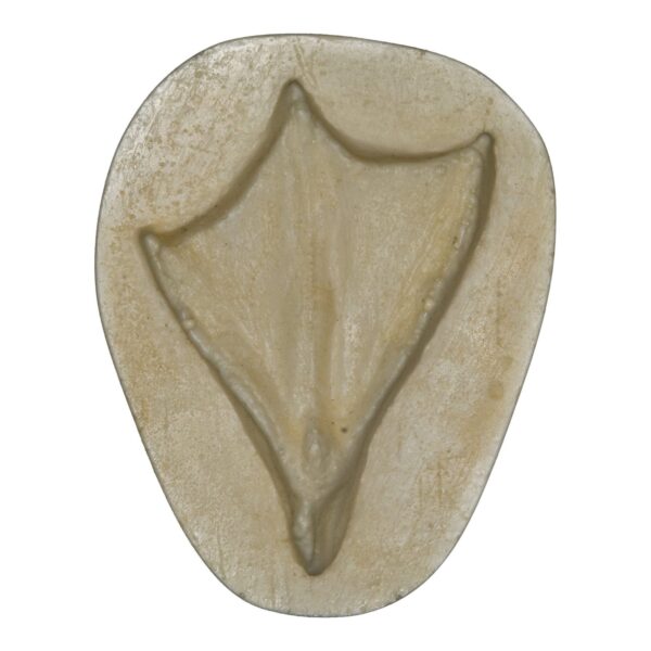 Replica Wood Duck Negative Footprint
