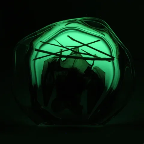 Real Bat Hanging with Sticks in Acrylic Display