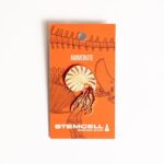 Ammonite Enamel Pin (Ammonoidea)