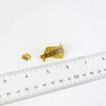 Anomalocaris Enamel Pin (Anomalocaris canadensis)