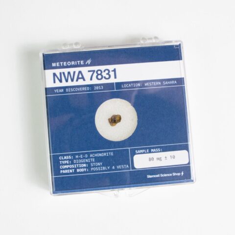 Asteroid 4 Vesta Meteorite Specimen