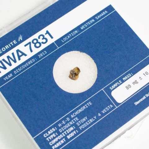 Asteroid 4 Vesta Meteorite Specimen