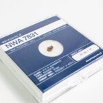 Asteroid 4 Vesta Meteorite Specimen