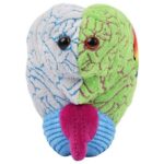 GIANTmicrobes Bipolar Plush