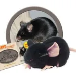 Giant Microbes Black Lab Mouse