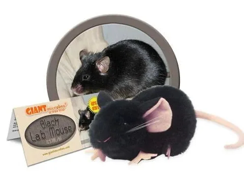 Giant Microbes Black Lab Mouse